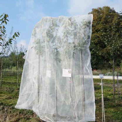 Net til frugttræer: 3.6 × 4 m