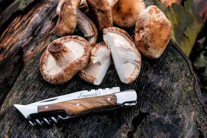Laguiole lommekniv med proptrækker og skæfte i Oliventræ